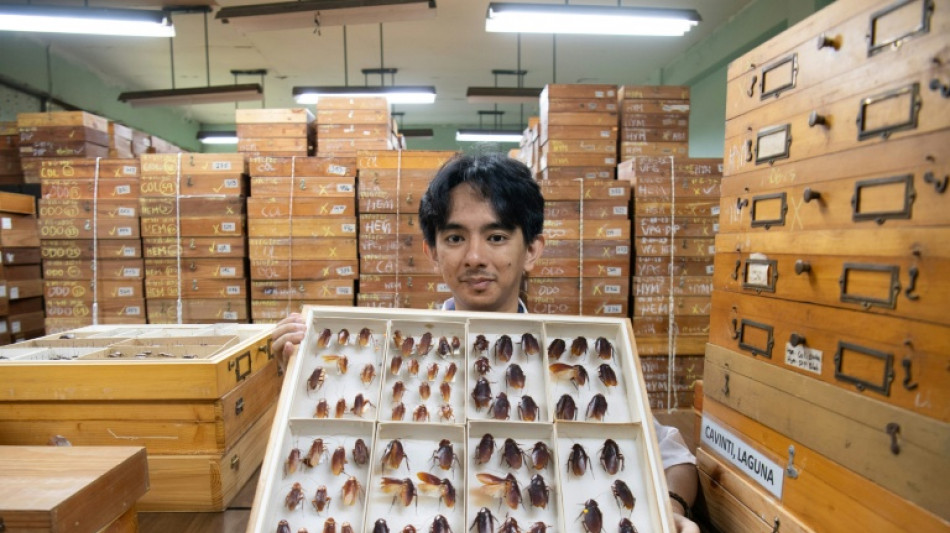  El "Se&ntilde;or de las Cucarachas" filipino sale en defensa de estos insectos incomprendidos 