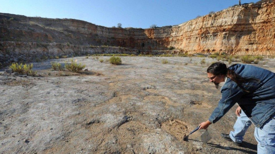 Scoperta pista di orme di dinosauro da record, &egrave; lunga 220 metri