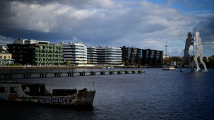 Bürokratie-Hindernisse und Verbesserungsvorschläge: Bund startet Melde-Portal