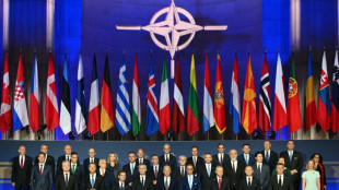 L'Otan, r&eacute;uni en sommet, veut garantir la d&eacute;fense de l'Ukraine