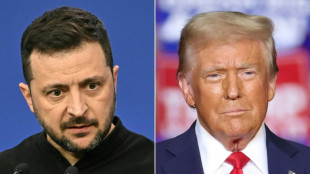 Vor Notre-Dame-Er&ouml;ffnung: Macron empf&auml;ngt Trump und Selenskyj im Elys&eacute;e-Palast