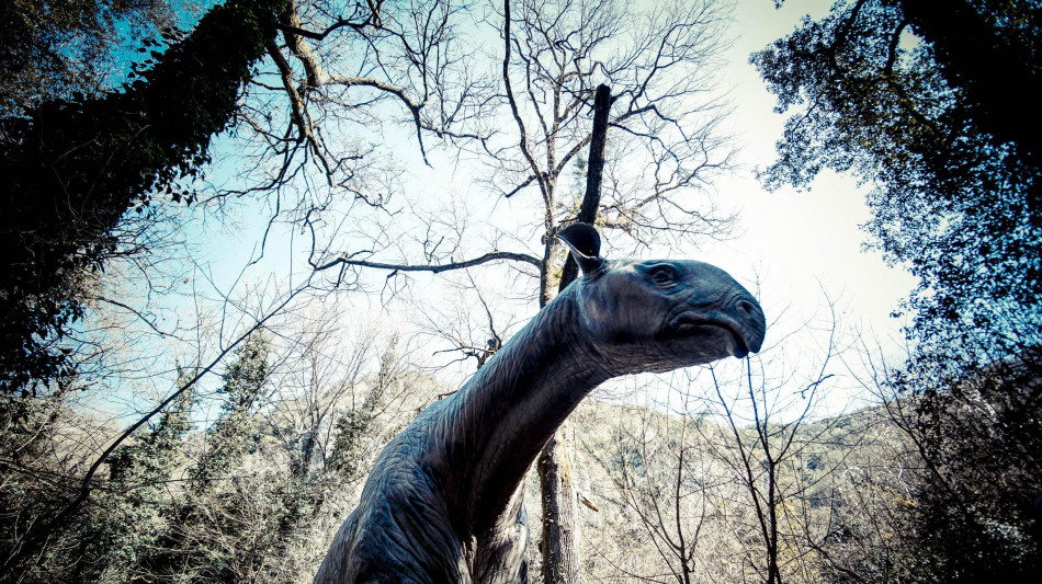  Dalla Thailandia un nuovo dinosauro gigante dal collo lungo, l'Uragasauro 