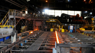 Reprise ou liquidation, le sort d'Ascometal examin&eacute; au tribunal