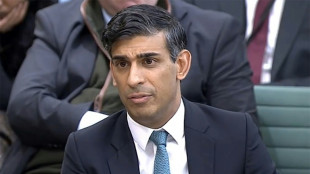 Los conservadores brit&aacute;nicos, ante un nuevo test electoral tras la suspensi&oacute;n de un diputado