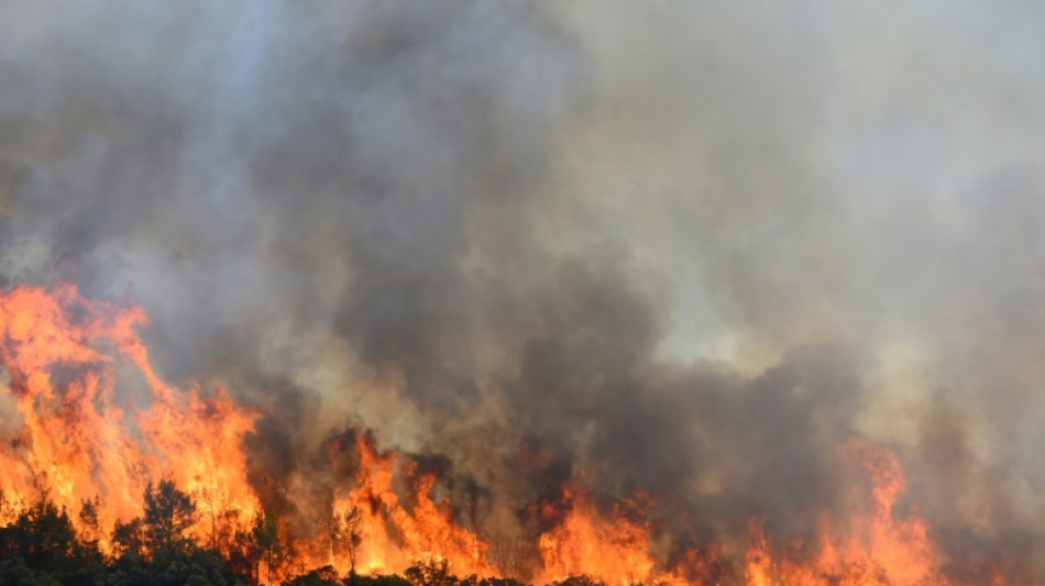 Un incendie mobilise 600 pompiers en Ard&egrave;che, le feu dans l'H&eacute;rault fix&eacute;