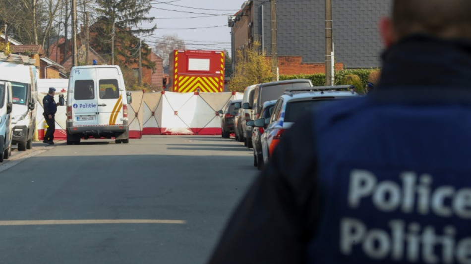  Voiture folle dans un carnaval belge: un accus&eacute; "autophile" face &agrave; ses juges 