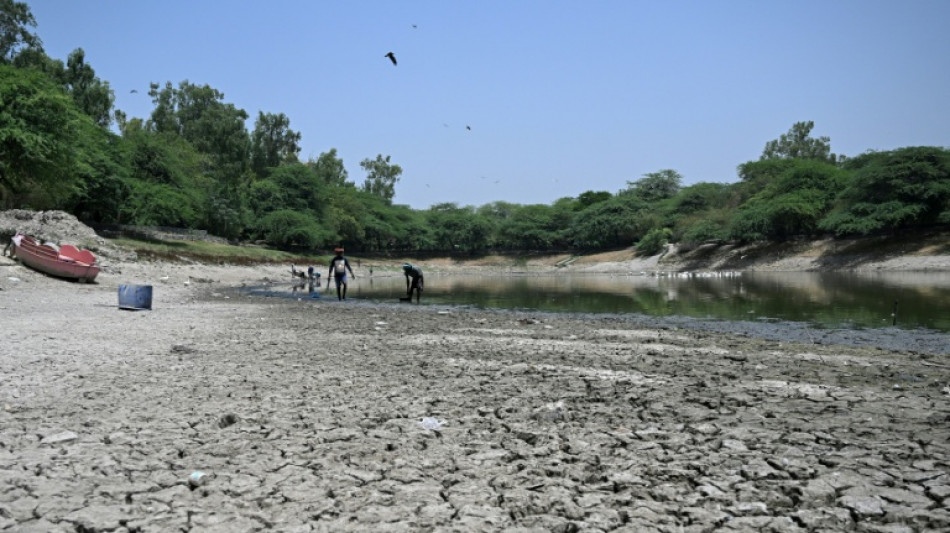  El Nino is back, but its effects vary widely 