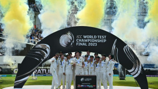Australia hailed for 'momentous' WTC title but told: now win Ashes