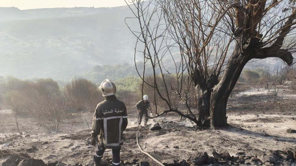  Algeria, 119 incendi in 33 province, in azione anche i mezzi aerei 