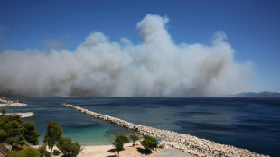 Waldbrand erreicht südfranzösische Hafenstadt Marseille