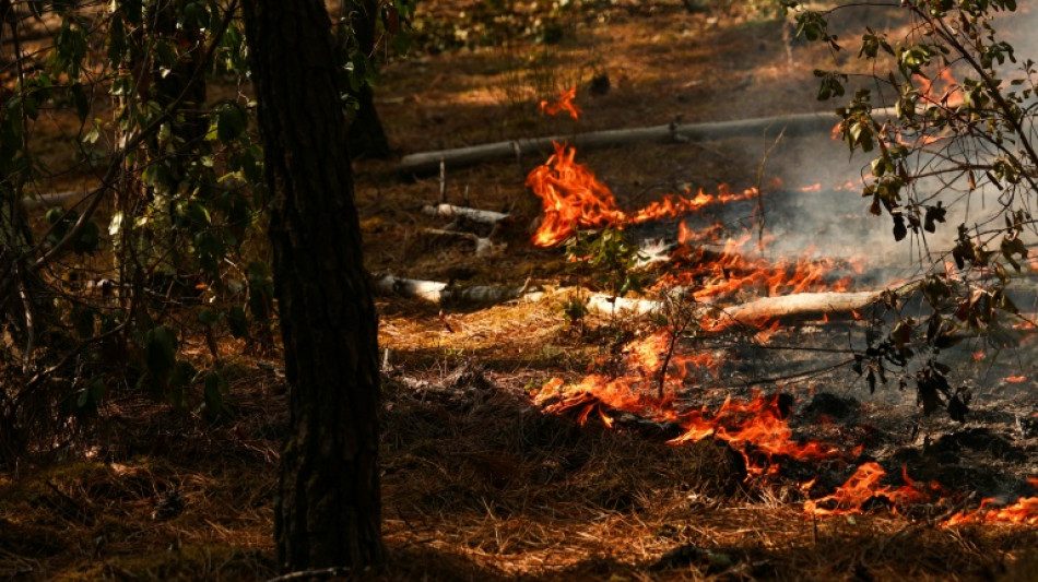  Au coeur du centre europ&eacute;en qui orchestre la lutte contre les incendies 
