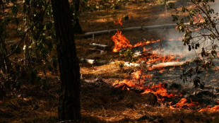 Au coeur du centre europ&eacute;en qui orchestre la lutte contre les incendies