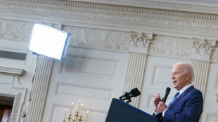 Biden dijo esperar que Putin "hable m&aacute;s seriamente" de un intercambio por Griner