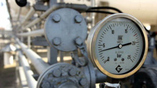 Il prezzo del gas in avvio &egrave; in calo sotto quota 49 euro