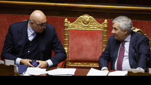 Il 13 maggio audizione di Tajani e Crosetto in commissione su Homurz