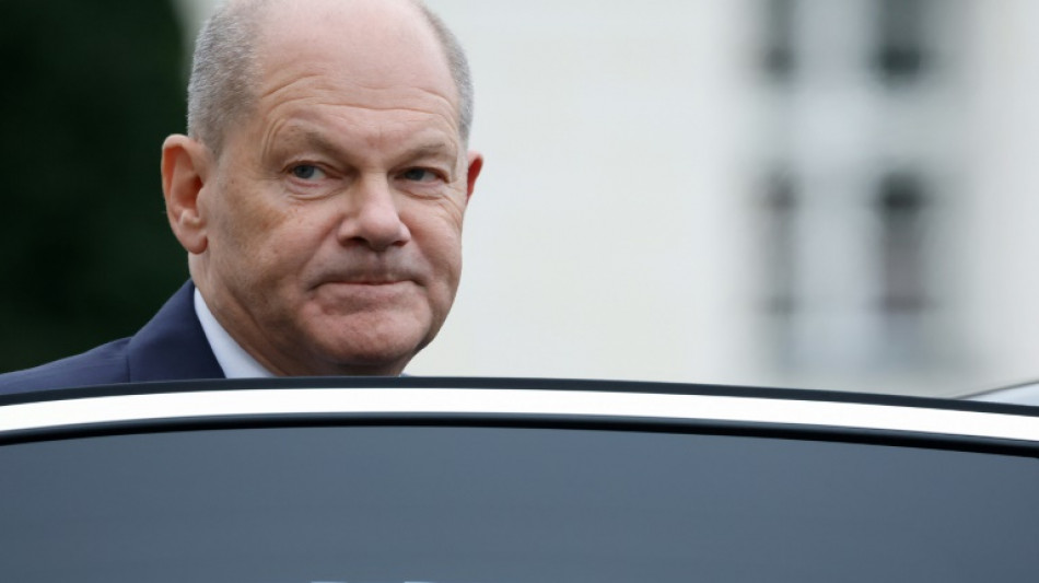En pleine crise, l'Allemagne plonge dans l'effervescence &eacute;lectorale