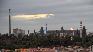 Ex Ilva: Mimit, mandato a negoziato in esclusiva con Flacks, possibili partner