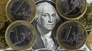 L'euro &egrave; poco mosso, a 1,1734 dollari