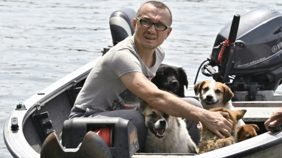 Lucha para salvar animales de inundaciones en ciudad ucraniana de Jers&oacute;n