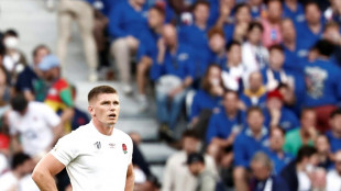 Samoa 'brillant' in loss to Borthwick's England