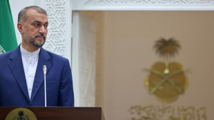 Ir&aacute;n quiere construir la "unidad del mundo musulm&aacute;n" con Arabia Saudita