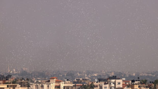 M&aacute;s de 80 muertos en bombardeos israel&iacute;es de campo de refugiados de Gaza 