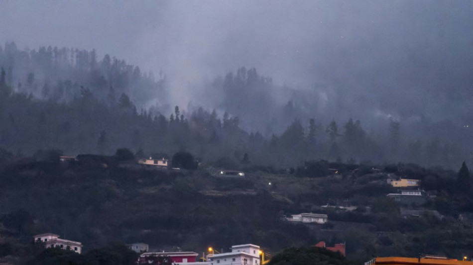 Incendie de Tenerife: espoir d'une stabilisation "dans les prochains jours"