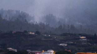 Incendie de Tenerife: espoir d'une stabilisation "dans les prochains jours"