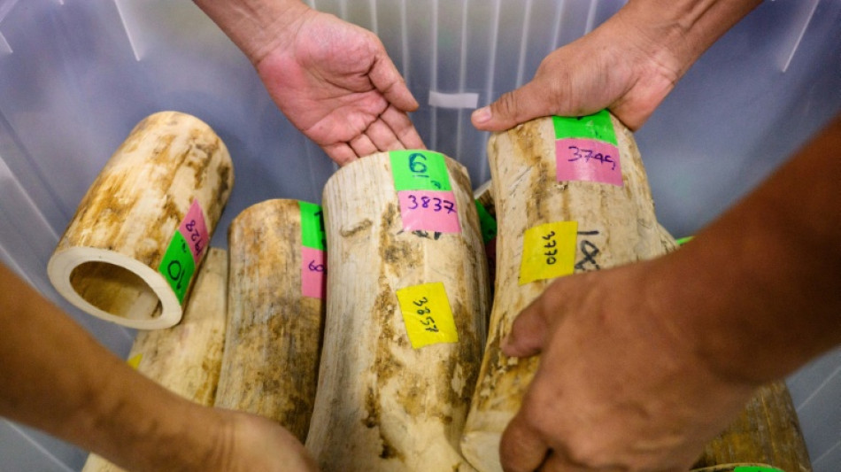  Thai police arrest 9 in largest ivory seizure in decade 