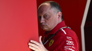 F1:Vasseur, ci manca ancora prestazione per lottare con McLaren