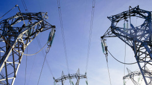 NextEra compra Dominion per 67 miliardi, nasce big dell'energia Usa