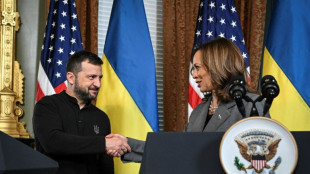 Otan, n&eacute;gociations de paix: Zelensky place ses espoirs dans l'&eacute;lection am&eacute;ricaine