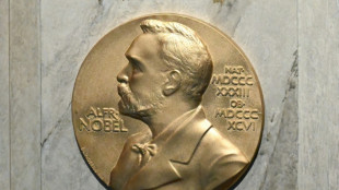 Friedensnobelpreis: Nobelkomitee hat letzte Sitzung vor Durchbruch in Gaza-Gespr&auml;chen abgehalten