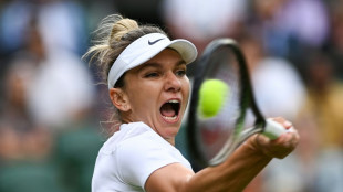 Ex world number one Halep gets four-year doping ban from tennis