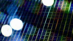 Il silicio rallenta le onde sismiche nel nucleo della Terra