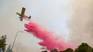 Barrage de roquettes du Hezbollah sur Isra&euml;l, n&eacute;gociations attendues sur Gaza  