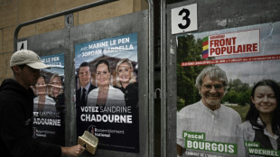 L&eacute;gislatives: le front r&eacute;publicain tente encore de se construire face au RN 