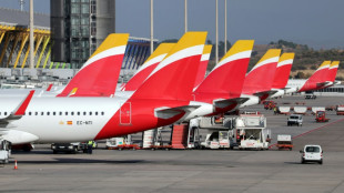 Las compa&ntilde;&iacute;as a&eacute;reas prev&eacute;n un r&eacute;cord de pasajeros y una rentabilidad al alza en 2025