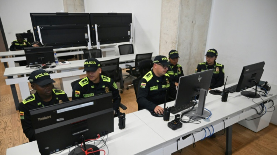  Los narcocultivos en Colombia aumentaron un 18% durante el gobierno de Petro, seg&uacute;n la polic&iacute;a 