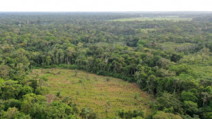 Floresta amaz&ocirc;nica se torna 'ref&eacute;m' dos guerrilheiros em negocia&ccedil;&otilde;es na Col&ocirc;mbia