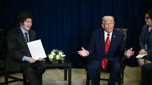 Argentina anuncia una reuni&oacute;n Trump-Milei en la Casa Blanca