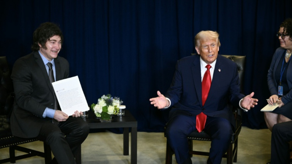  Trump says at Milei talks that Argentina does not 'need' bailout 