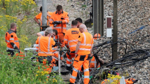 El tr&aacute;fico ferroviario deber&aacute; normalizarse el lunes en Francia tras sabotaje
