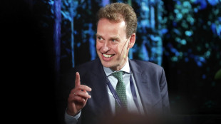 Elderson (Bce), benefici da fusioni fra banche europee