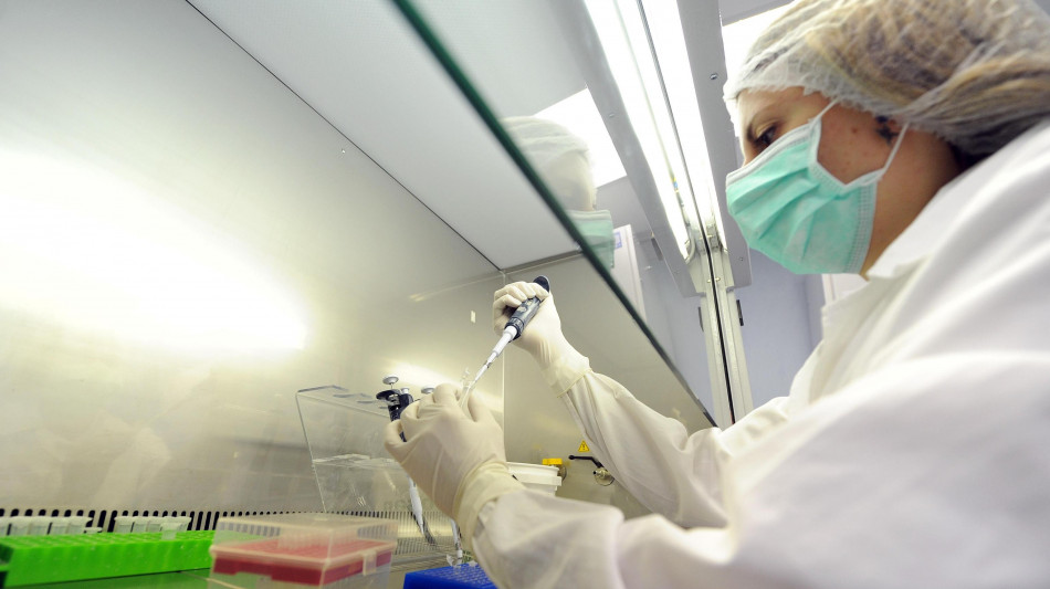  Fibrosi cistica, identificato un nuovo meccanismo che alimenta l'infiammazione 
