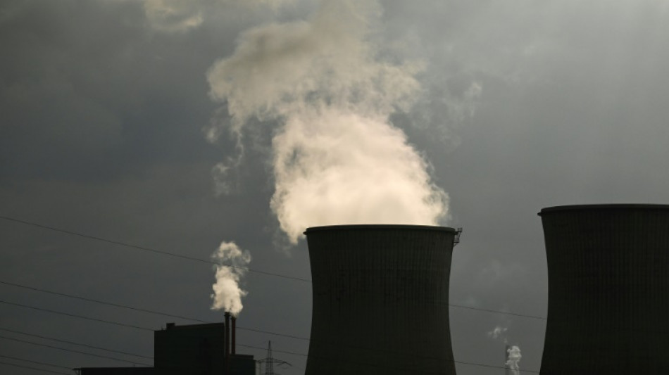  Germany's Merz rejects claims he is slowing green shift 