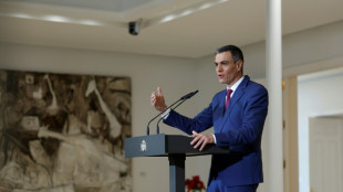 Socialistas espa&ntilde;oles denuncian el "linchamiento" de un mu&ntilde;eco representando a Pedro S&aacute;nchez