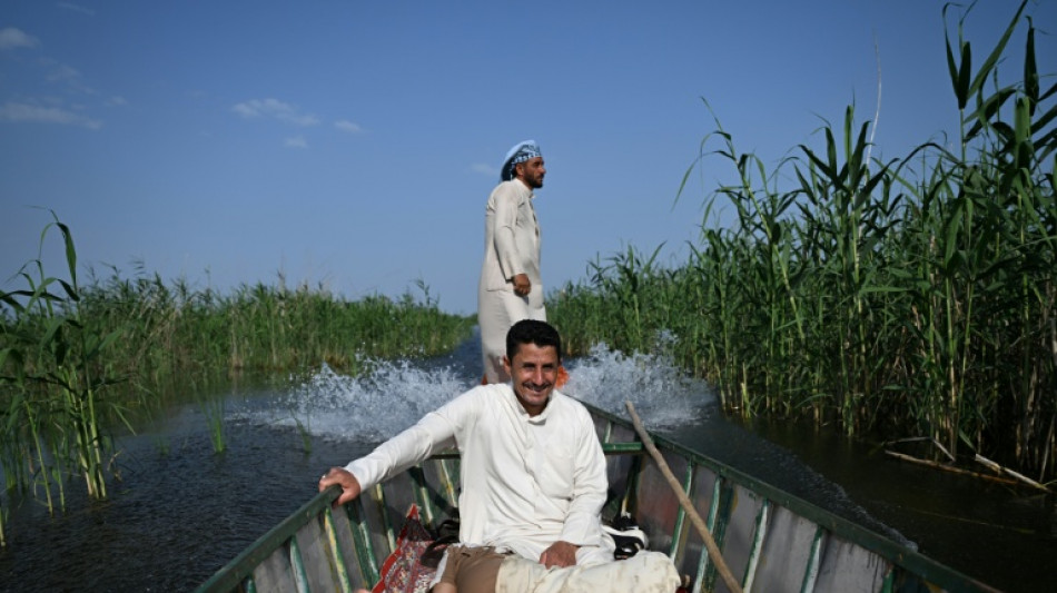  Irak: des pluies hivernales redonnent vie aux mythiques marais m&eacute;sopotamiens 