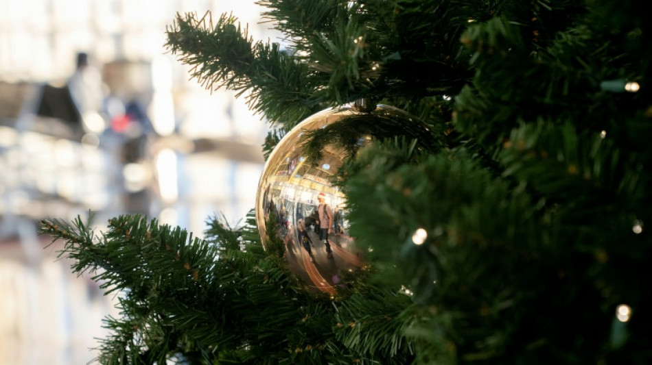  Stocks steady as rate cut hopes bring Christmas cheer 