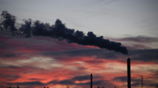 Studie: Neuer Rekordanstieg der CO2-Emissionen aus fossilen Brennstoffen 2025